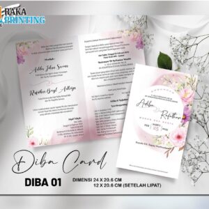 DIBA 01