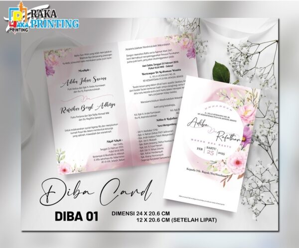 DIBA 01