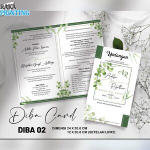 DIBA 02