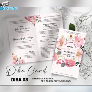 DIBA 03