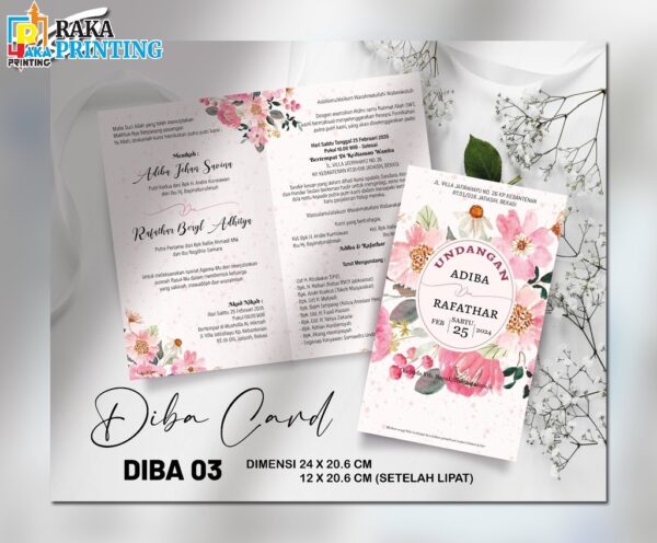 DIBA 03