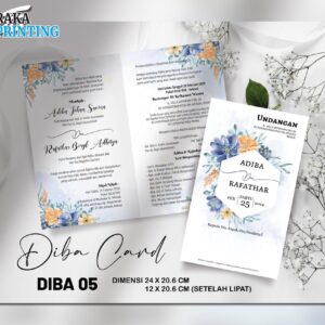 DIBA 05