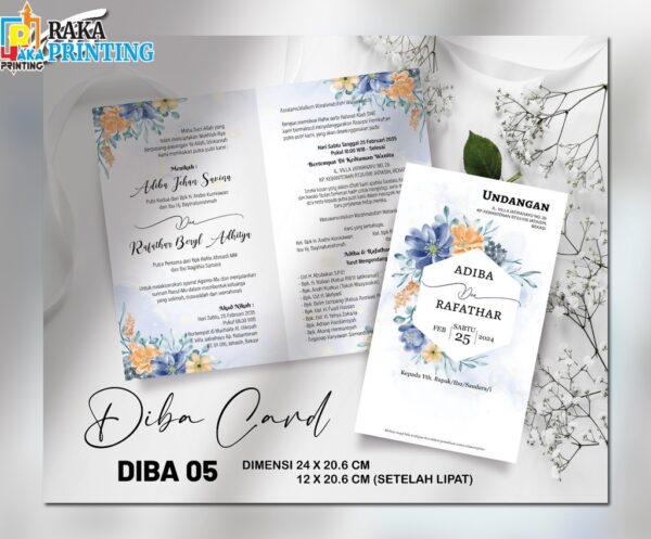 DIBA 05