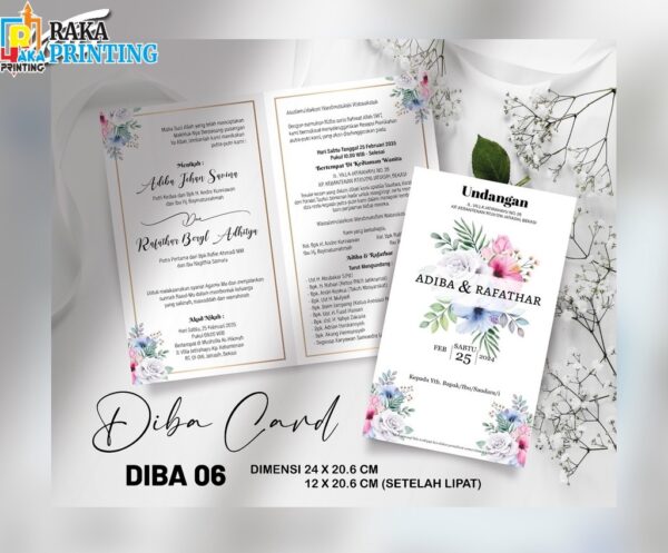DIBA 06