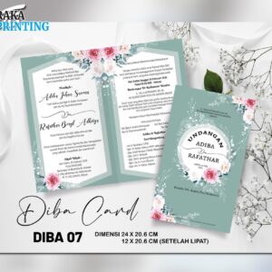 DIBA 07