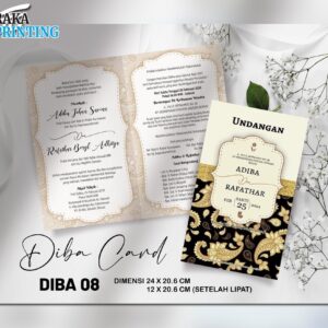 DIBA 08