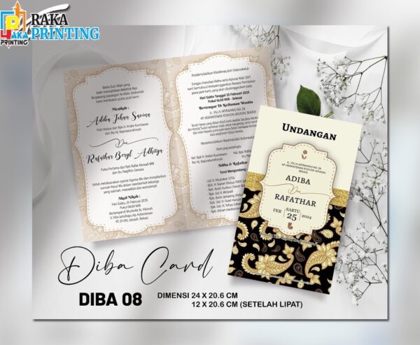 DIBA 08