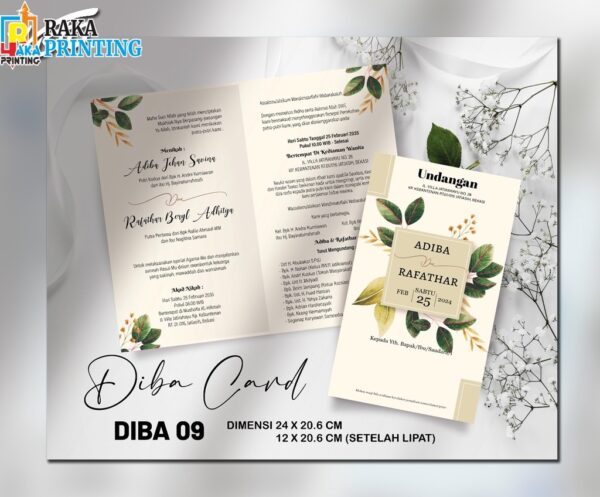 DIBA 09
