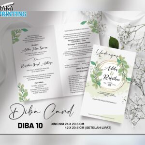 DIBA 10