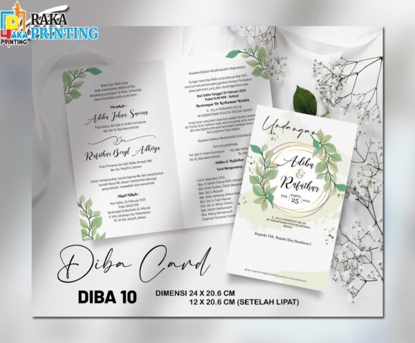 DIBA 10