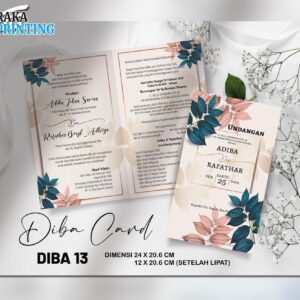 DIBA 13