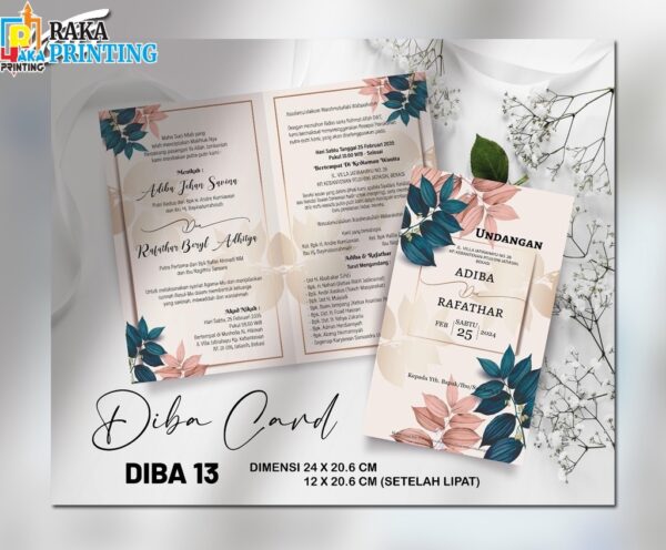 DIBA 13