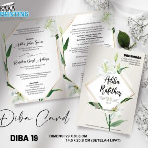 DIBA 19