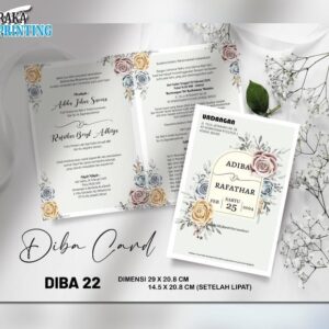 DIBA 22