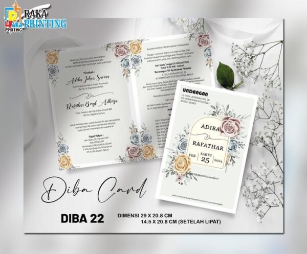 DIBA 22