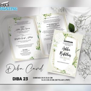 DIBA 23