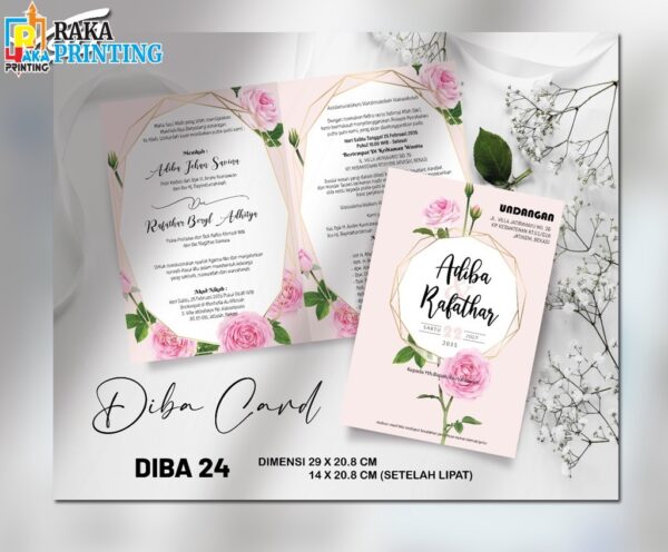 DIBA 24